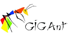GIGAnt